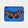 Mammals Butterfly Icarus Vintage Moth