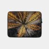 Floral Botanical Chestnut Leaf By Julie De Graag 1877 1924 Floral Botanical