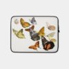 Mammals Flying Butterflies Vintage Illustration Remix From Original Artwork