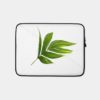 Floral Botanical Foliage Leaf Isolate Line Floral Botanical