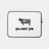 Mammals Galloway Cow Illustration