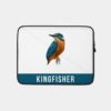 Mammals King Fisher Bird