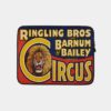 Retro & Vintage Ringling Bros Barney Circus