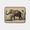 Mammals Vintage Asiatic Elephant