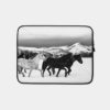 Mammals Wild And Domesticated Horses Frolics On The Ladder Livestock Ranch At The Wyoming Colorado